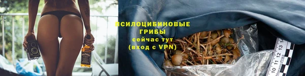 гидропоника Армянск